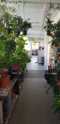 Blk 37 Circuit Road (Geylang), HDB 3 Rooms #208582521